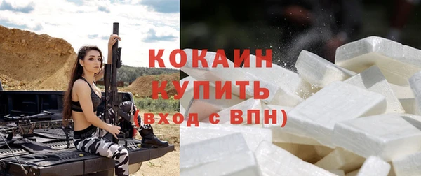 ПСИЛОЦИБИНОВЫЕ ГРИБЫ Горняк