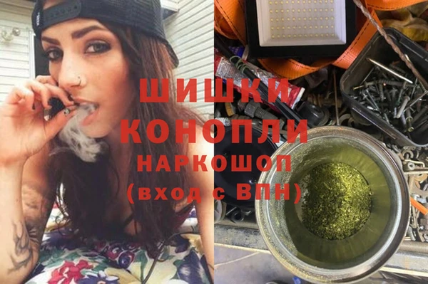 ПСИЛОЦИБИНОВЫЕ ГРИБЫ Горняк
