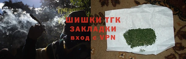 ПСИЛОЦИБИНОВЫЕ ГРИБЫ Горняк