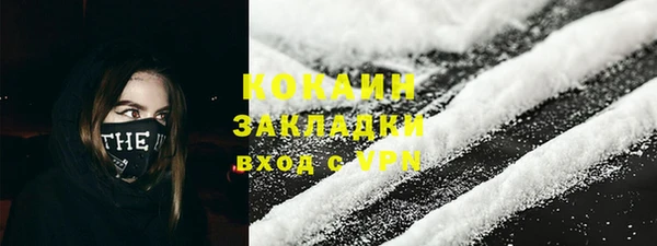 прущие грибы Горнозаводск