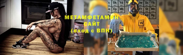 прущие грибы Горнозаводск