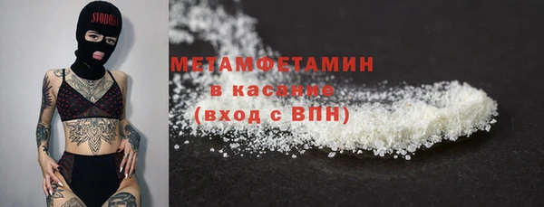 прущие грибы Горнозаводск