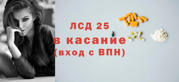 ПСИЛОЦИБИНОВЫЕ ГРИБЫ Горняк