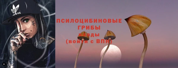 трава Горно-Алтайск