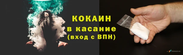 прущие грибы Горнозаводск