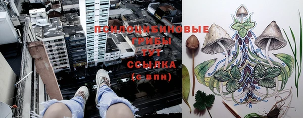 трава Горно-Алтайск