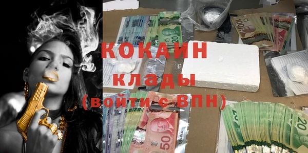 прущие грибы Горнозаводск