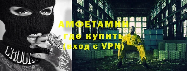 ПСИЛОЦИБИНОВЫЕ ГРИБЫ Горняк