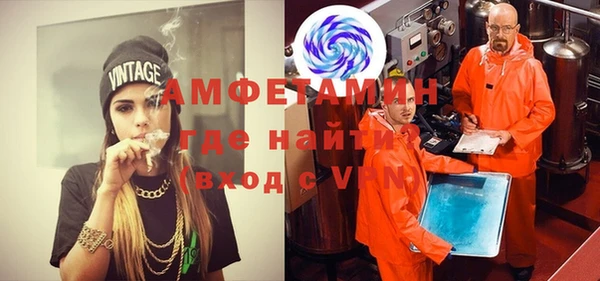 ПСИЛОЦИБИНОВЫЕ ГРИБЫ Горняк