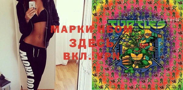 прущие грибы Горнозаводск