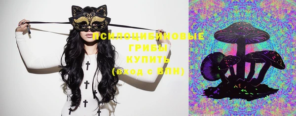 ПСИЛОЦИБИНОВЫЕ ГРИБЫ Горняк