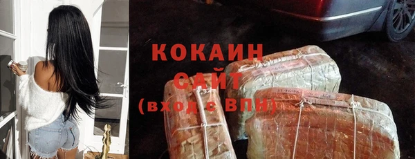 прущие грибы Горнозаводск