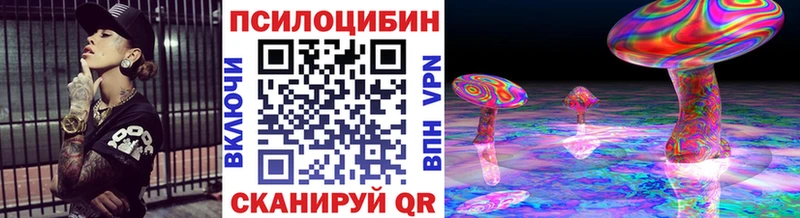цена наркотик  Калач-на-Дону  Галлюциногенные грибы Psilocybe 